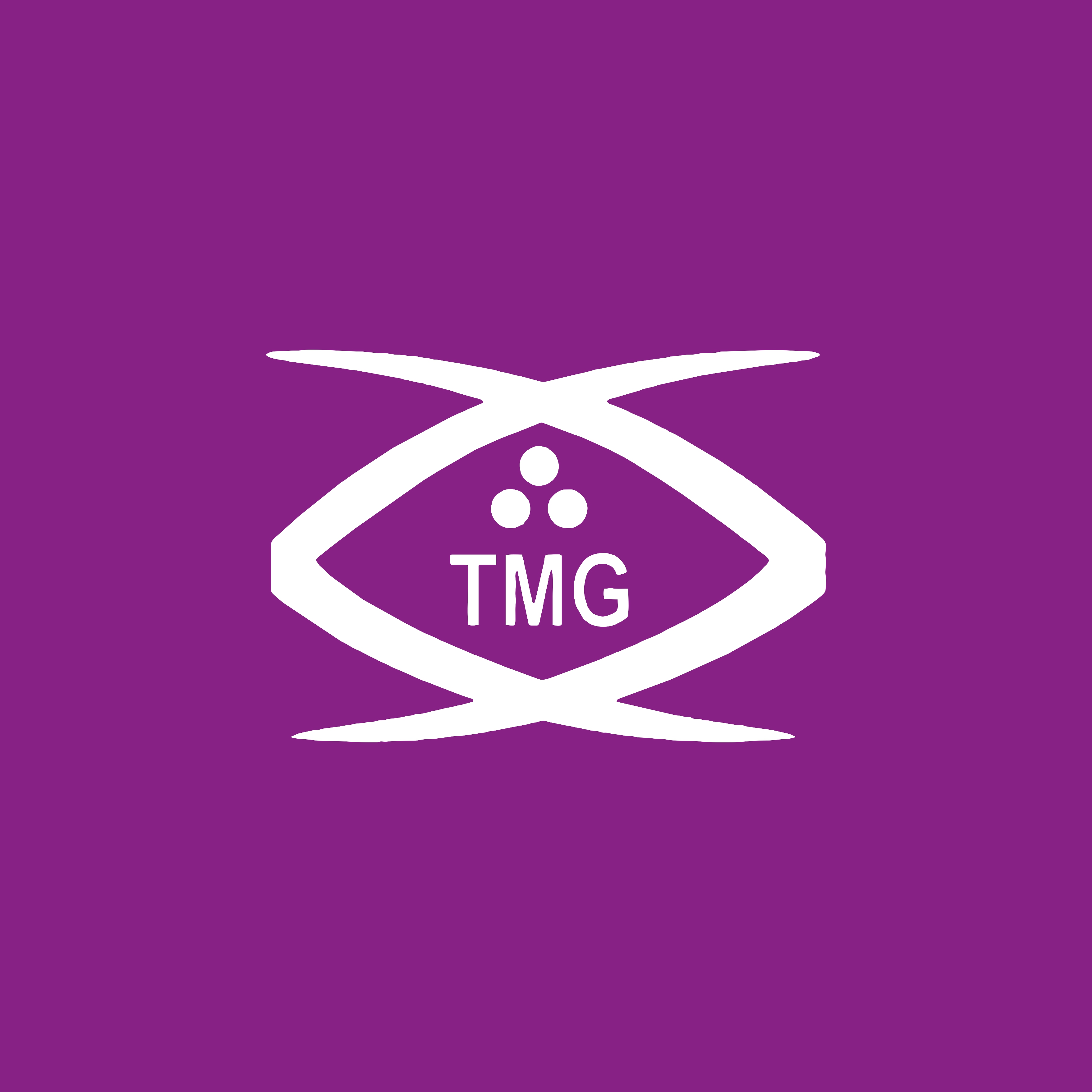 Transition Monitoring Group logo